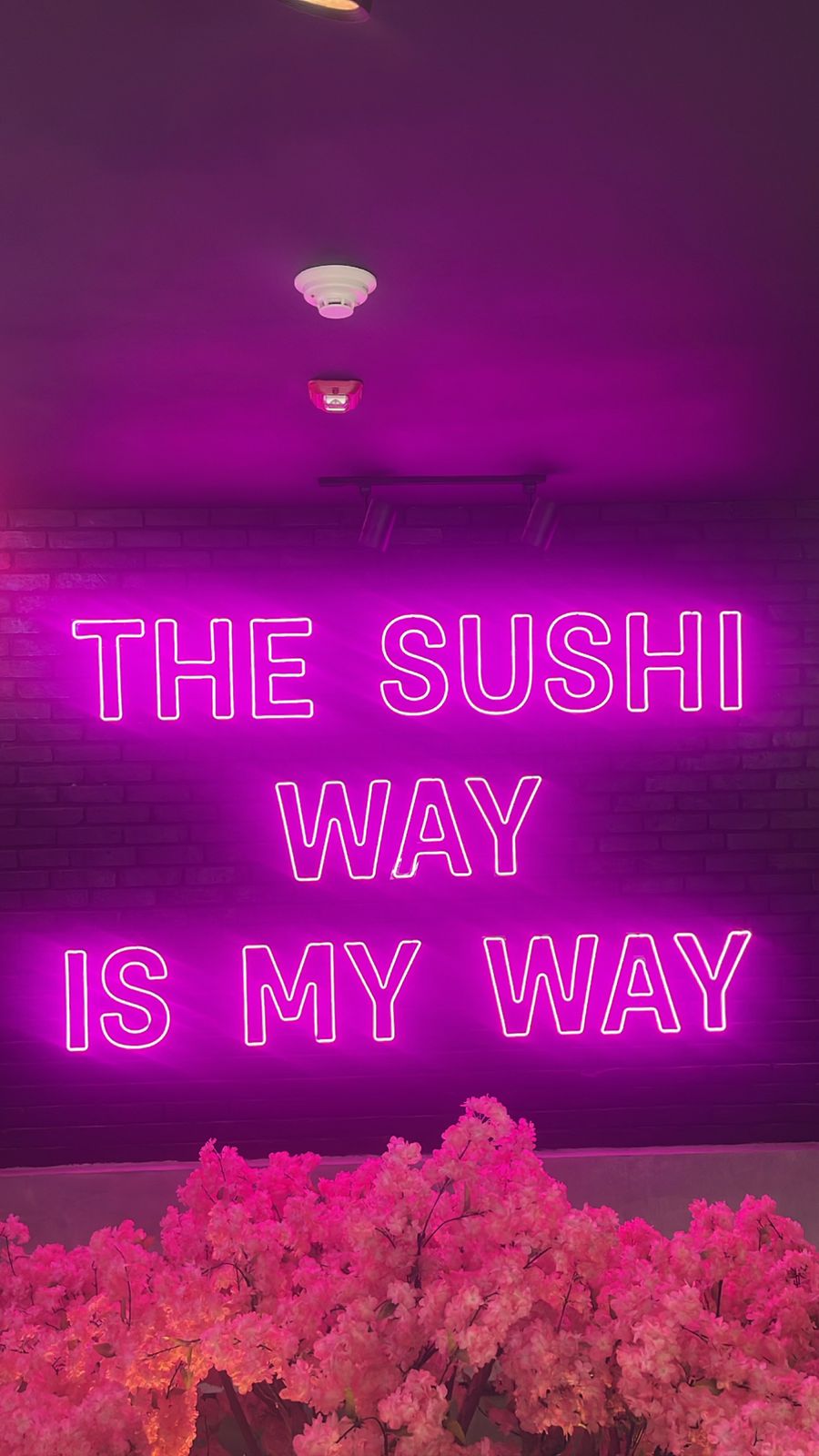 Una salida inesperada a Nación Sushi